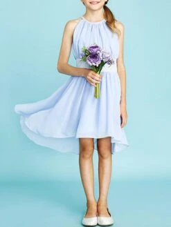 Flower Girl Dresses Sky Blue Jewel Neck Chiffon Sleeveless Short A Line Pleated Kids Party Dresses