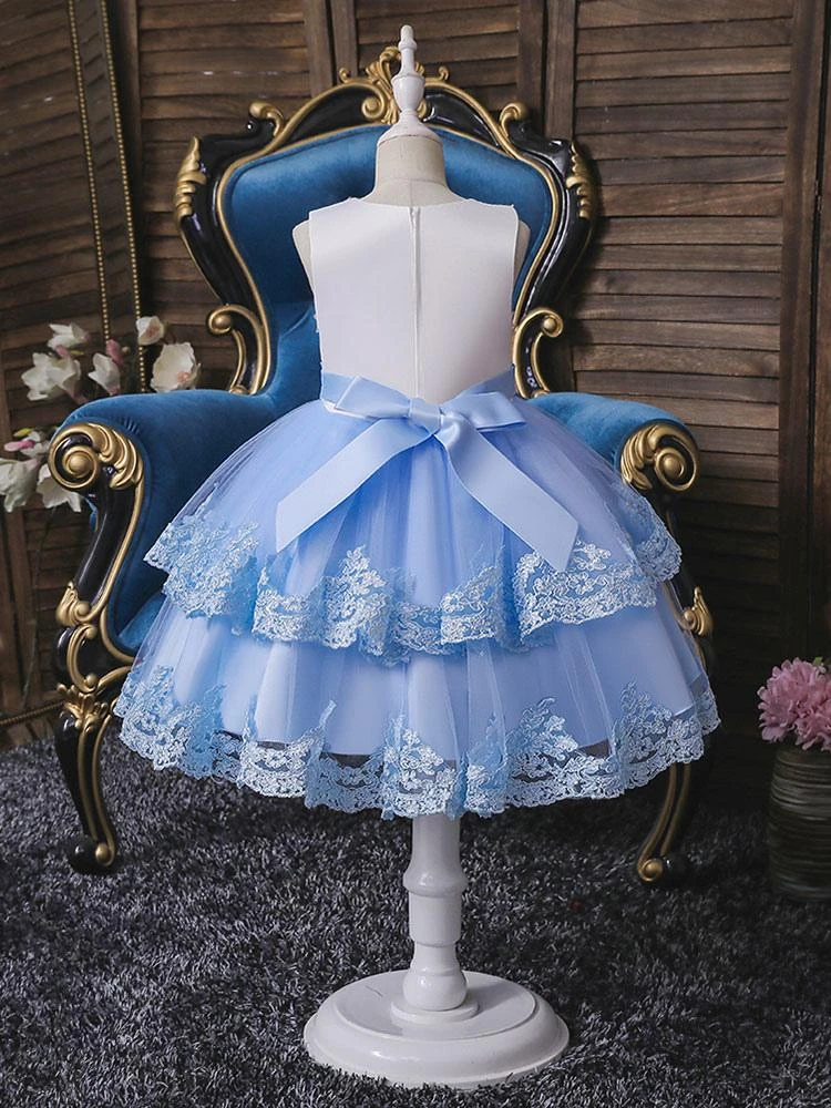 Flower Girl Dresses Light Blue Jewel Neck Sleeveless Polyester Tulle Embroidered Kids Party Dresses - Image 4